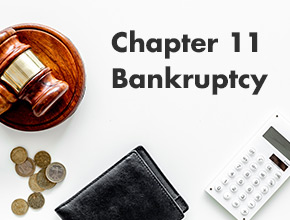 Chapter 11 Bankruptcy